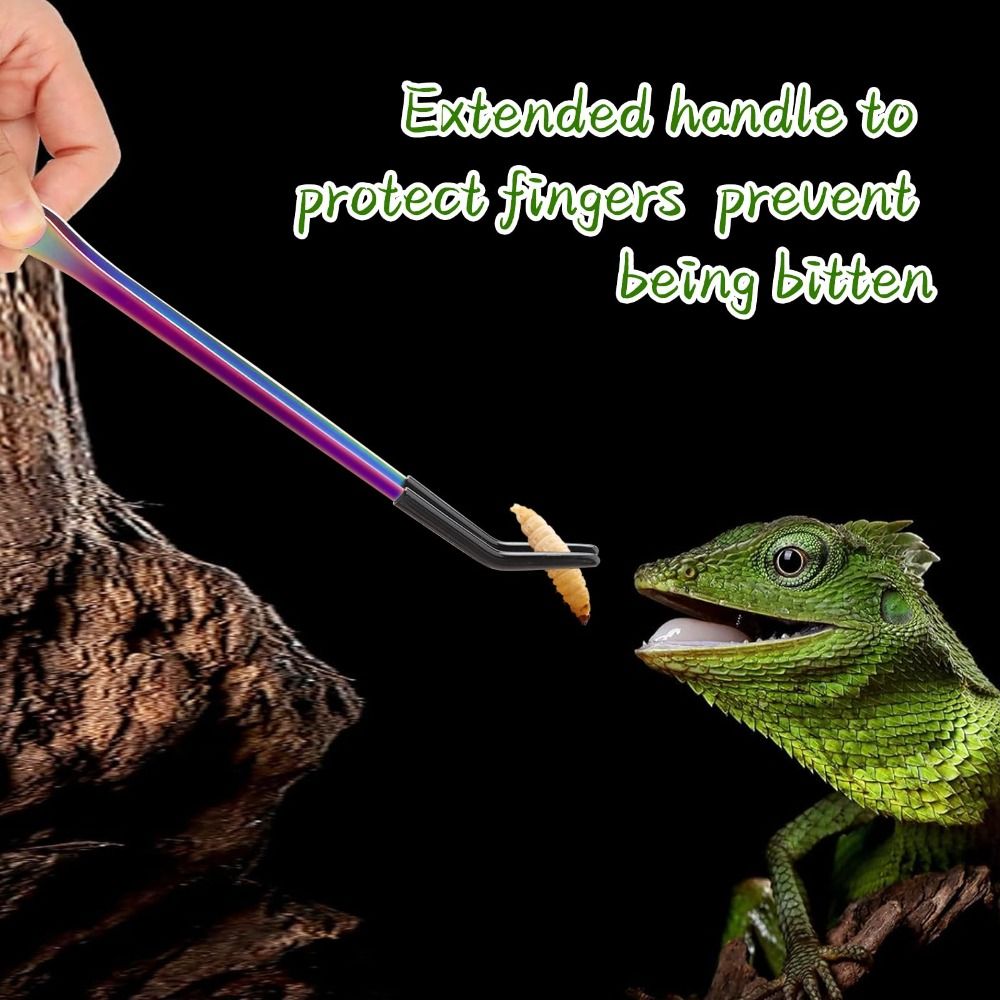 2PCS Stainless Steel Reptile F - огляд і ціна Feeding Tong Stainless
