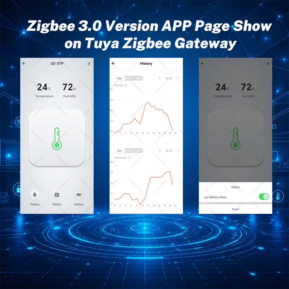 Zigbee Temperature Humidity Se - огляд і ціна Digital Hygrometer Probe