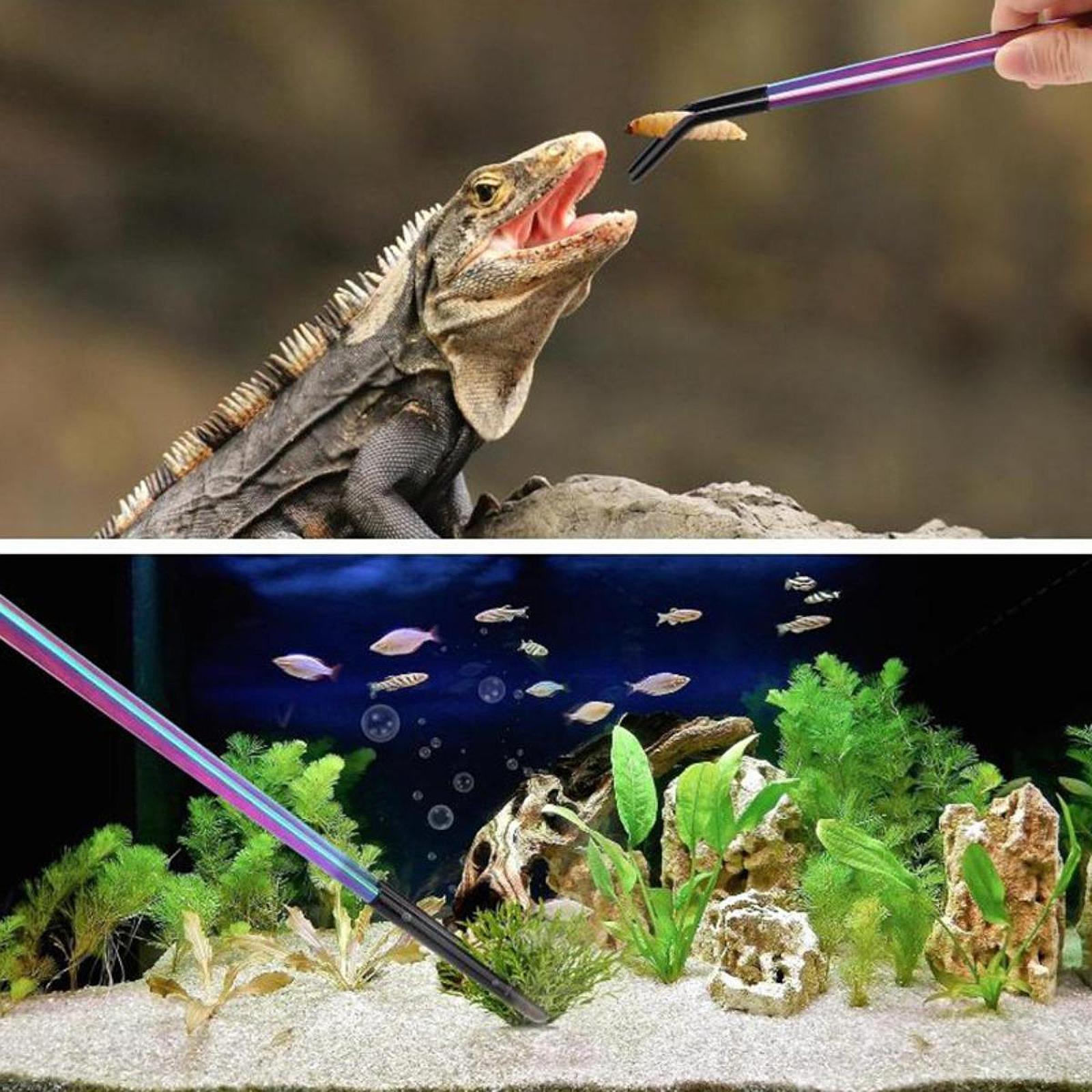 Aquarium Tweezers Reptile Feed - огляд і ціна Feeding Tong Stainless