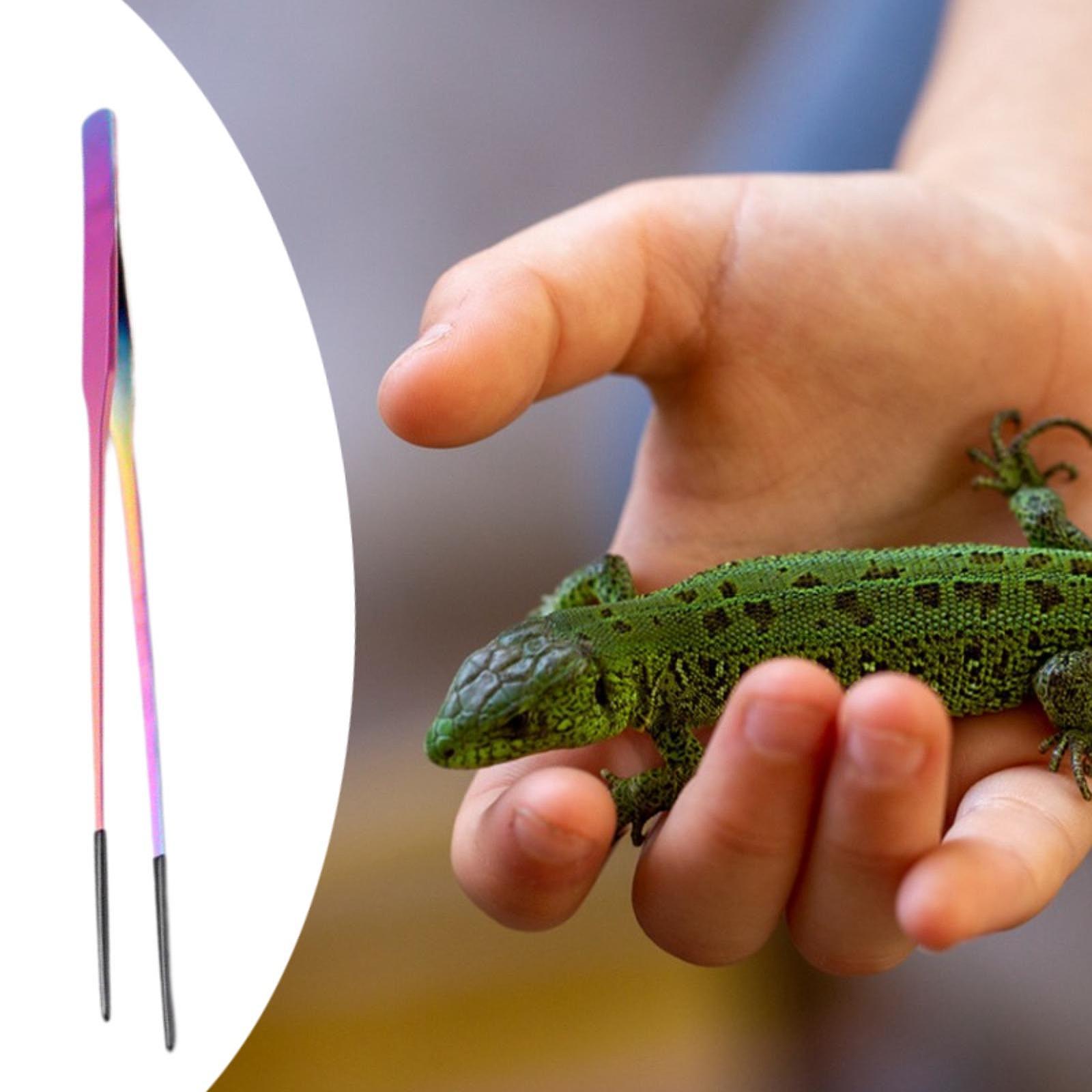 Aquarium Tweezers Reptile Feed - огляд і ціна Feeding Tong Stainless