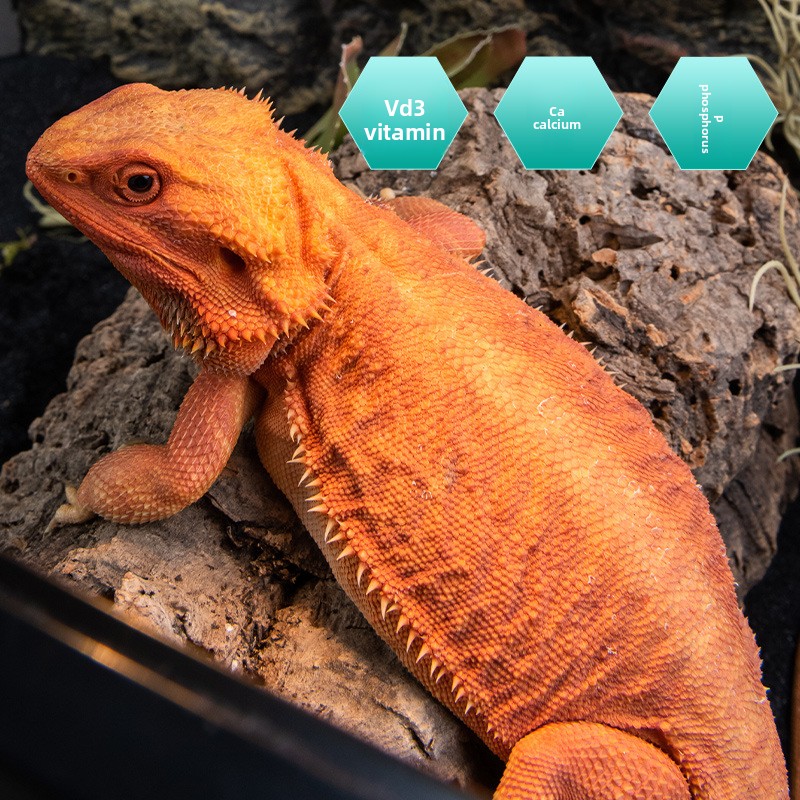 SuperRep Reptile Calcium Pro-V - огляд і ціна Vitamin D3 Reptile